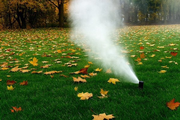 sprinkler system utah county watering the grass
