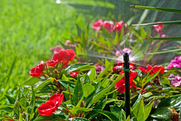 Water-saving sprinkler system Utah County installation using efficient irrigation techniques to reduce water waste