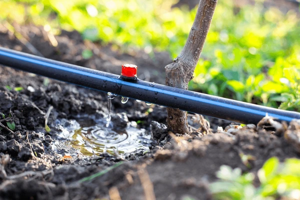 drip line irrigation utah county
