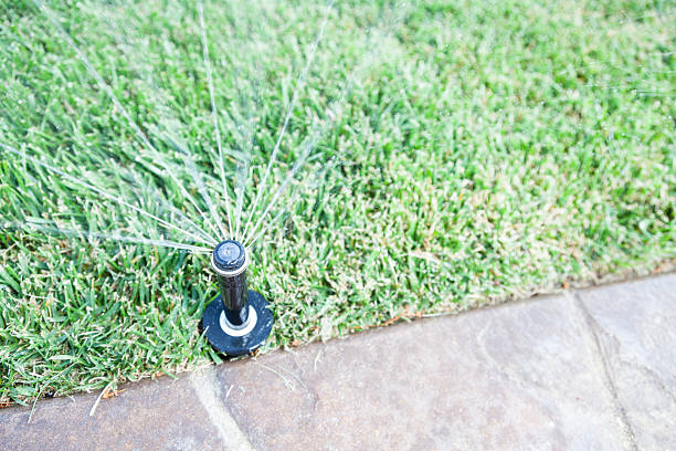 Irrigation specialist diagnosing valve and controller issues with testing equipment outdoors, Skilled irrigation specialist testing valves and spray pattern with diagnostic equipment