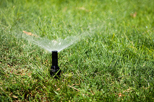 Irrigation professional evaluating sprinkler pressure and spray alignment across residential yard