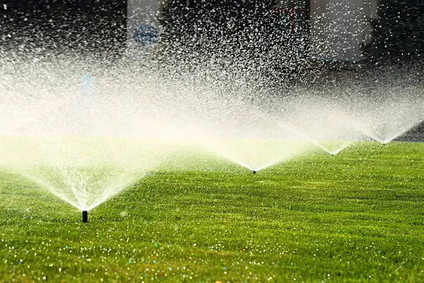 Irrigation specialist testing controller settings and spray patterns for precise lawn coverage